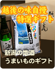 越後の味自慢特選ギフト　新潟の地酒　うまいものギフト